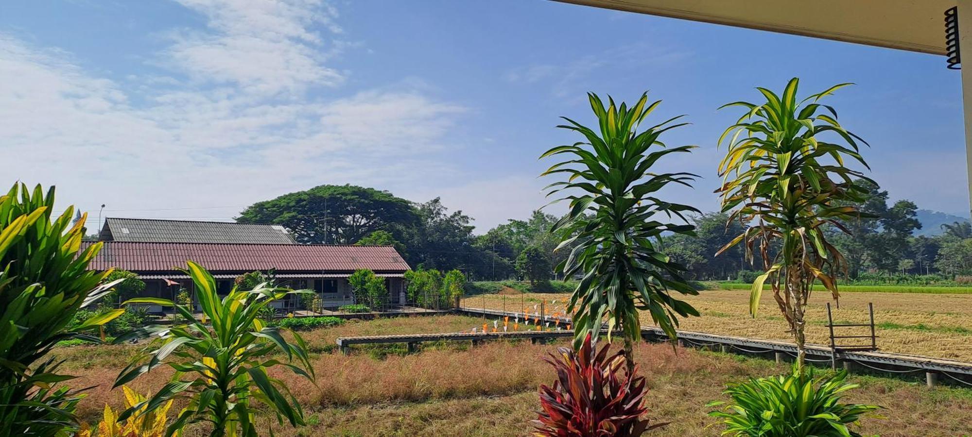 บ้านลมเย็น โฮมสเตย์ เชียงราย ภายนอก รูปภาพ